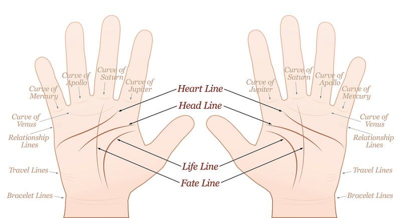 How To Read Palms: A Beginner's Guide To Palmistry